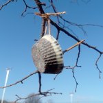 phoca_thumb_m_zajci a ptci 35 Fotogalerie